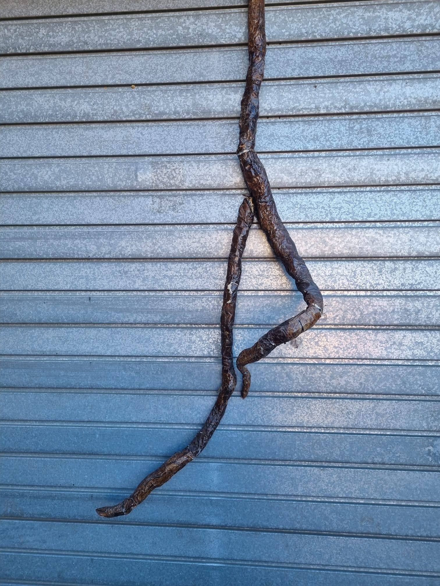 ramas liana tronco ficticio papel mache